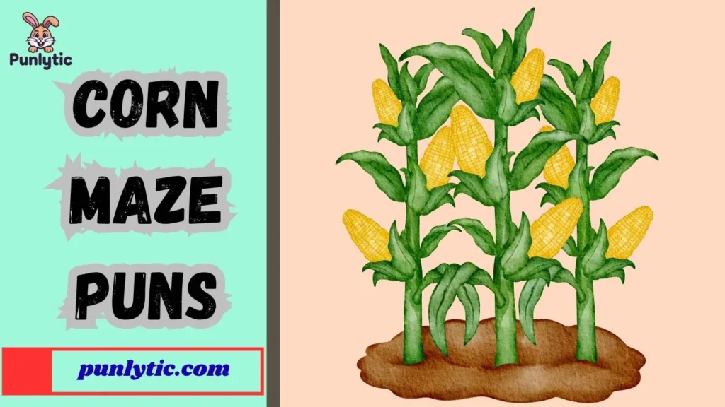 One-Liner Corn Maze Jokes
