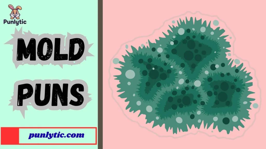 Clean Mold Dad Puns