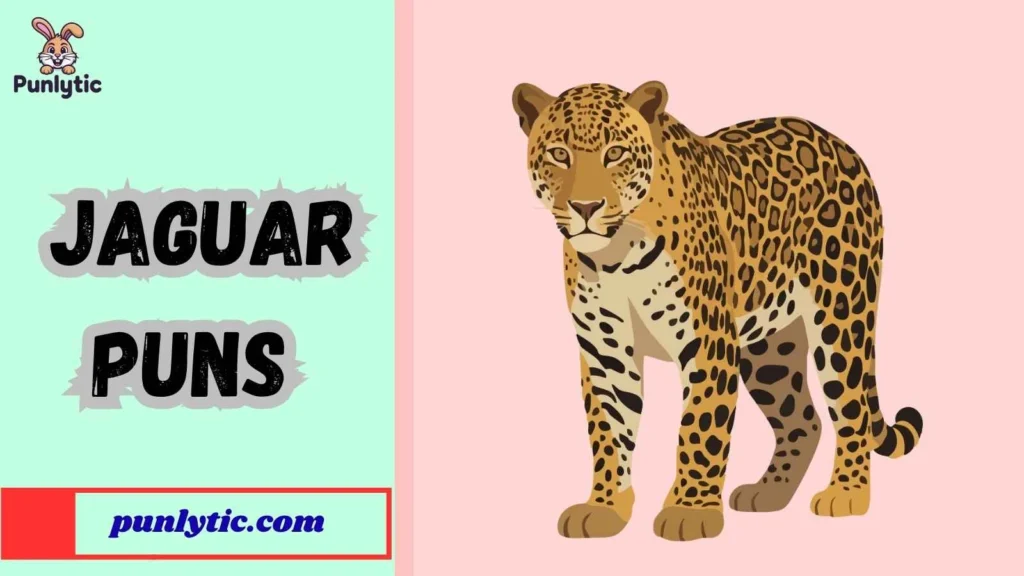 Funny Jaguar Puns