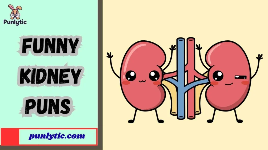 Funny Kidney Puns