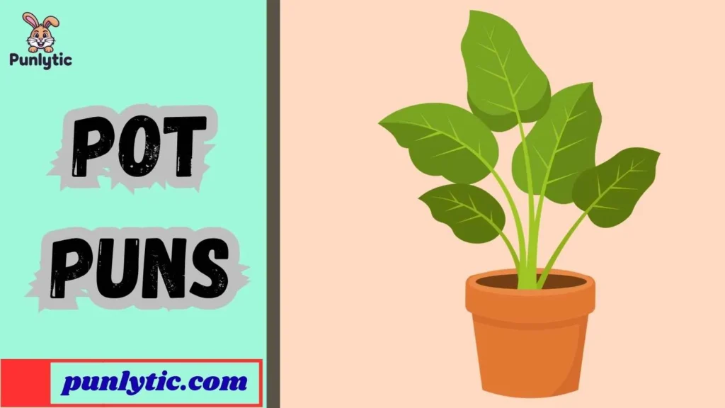 One-Liner Pot Jokes