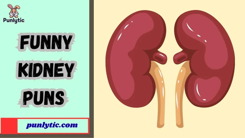 Silly Kidney Puns