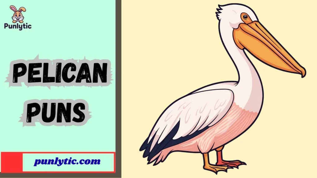 Silly Pelican Puns