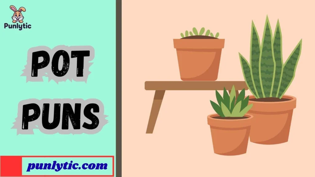 Silly Pot Puns