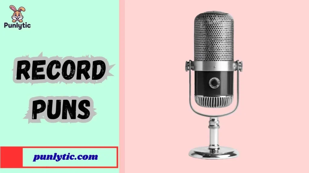Silly Record Puns