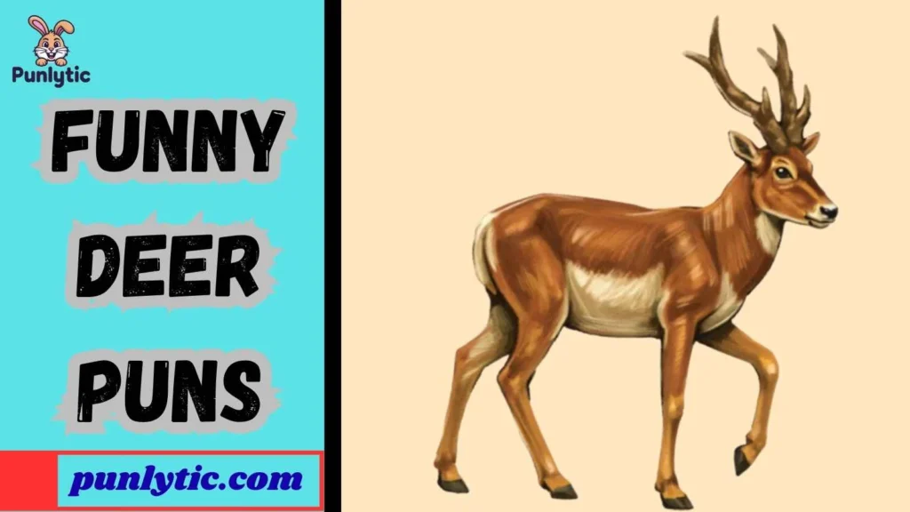 Funny Funny Deer Puns
