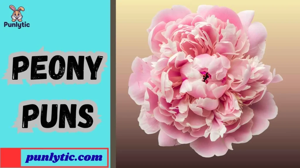Funny Peony Puns