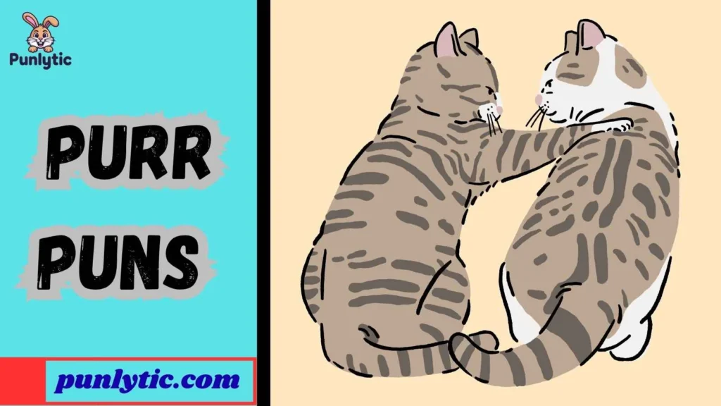 Funny Purr Puns