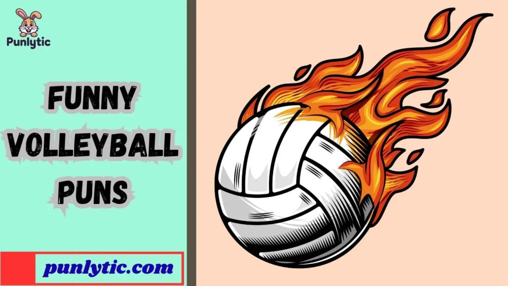 Funny Volleyball Puns
