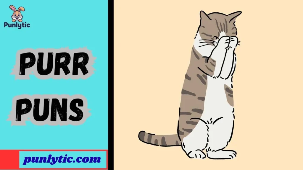 One-Liner Purr Jokes