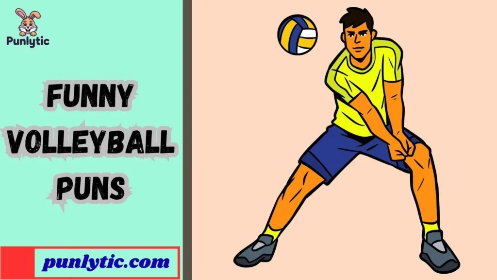 Silly Funny Volleyball Puns