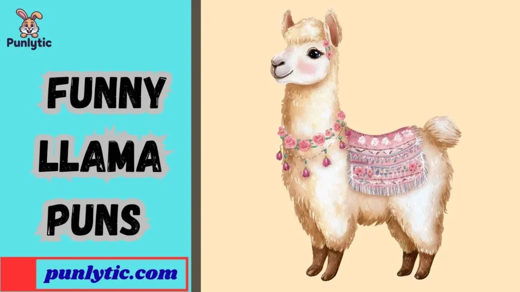 Funny Llama Puns