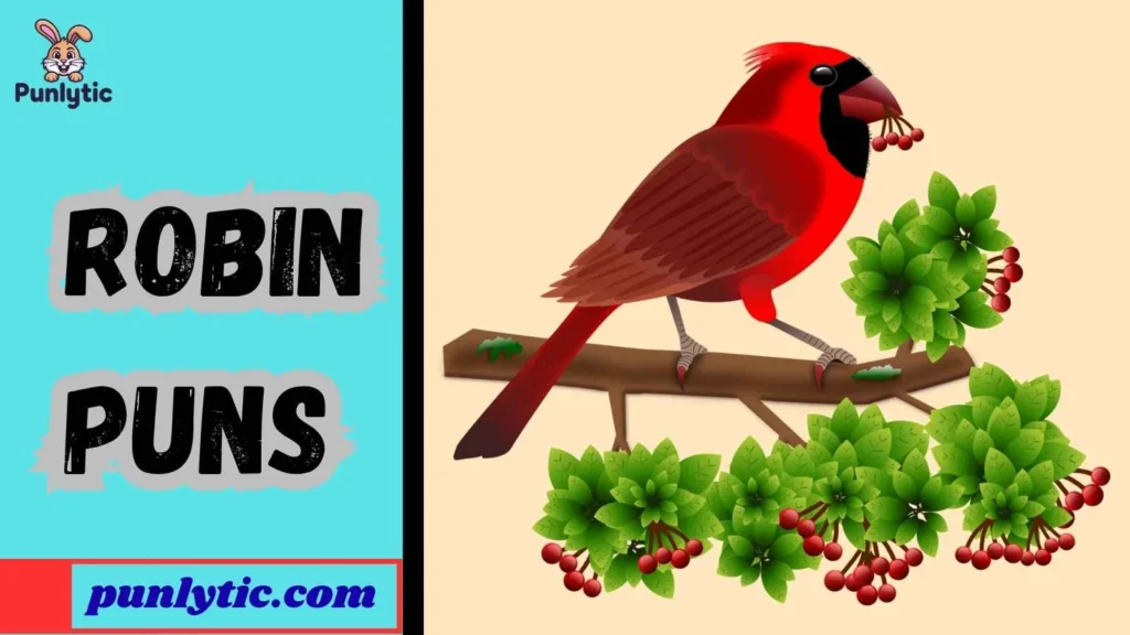 Silly Robin Puns