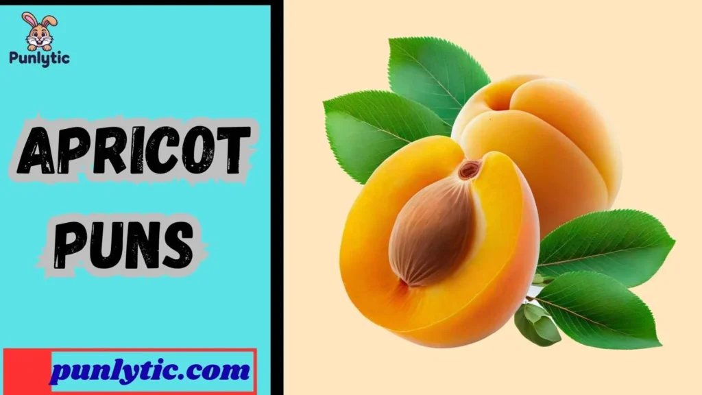 Funny Apricot Puns