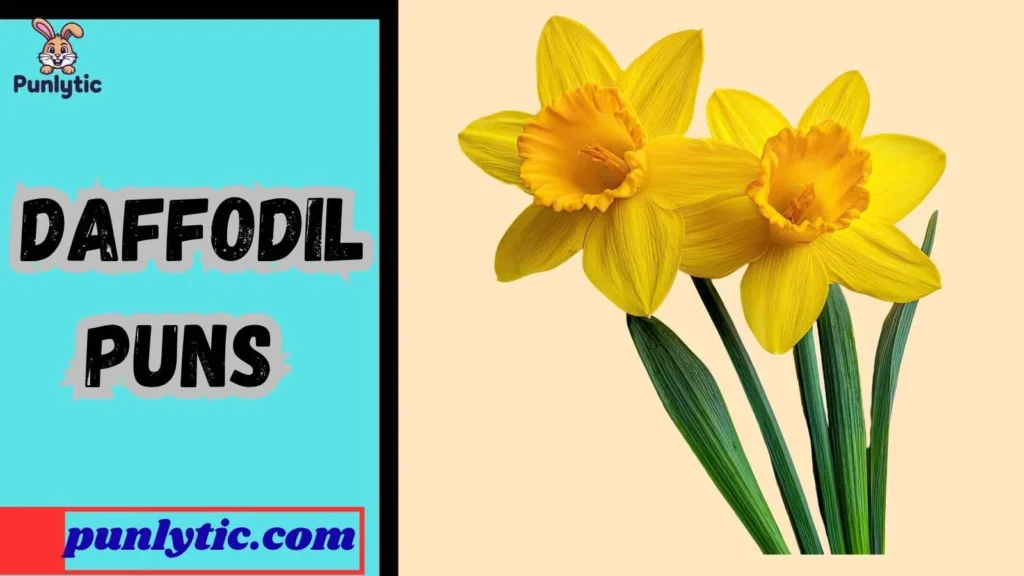 Funny Daffodil Puns