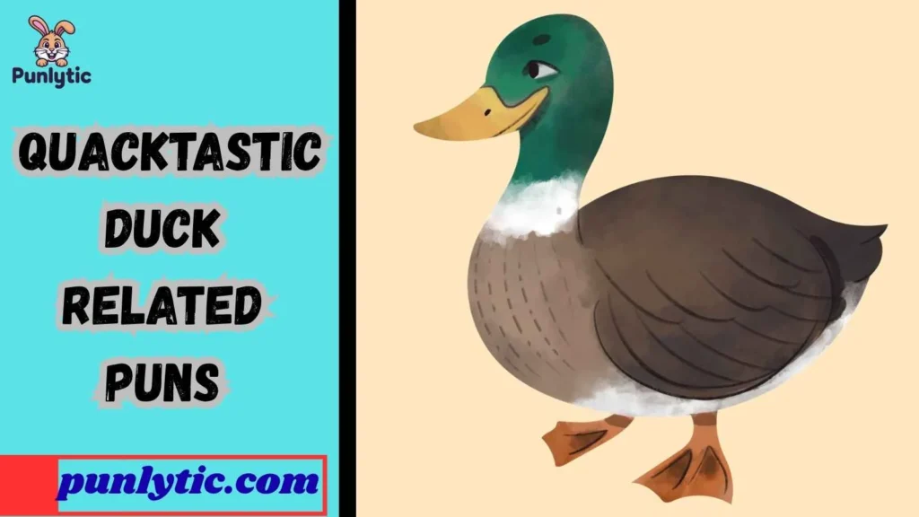 Funny Duck Related Puns