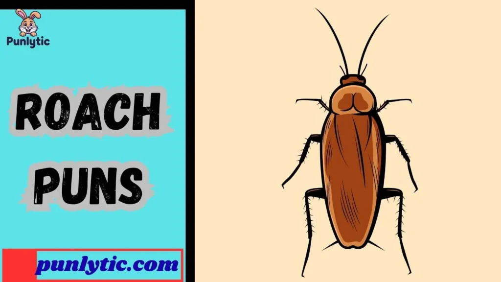 Funny Roach Puns
