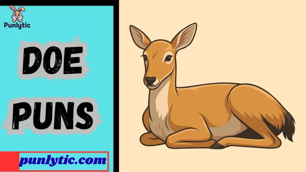 One-Liner Doe Jokes