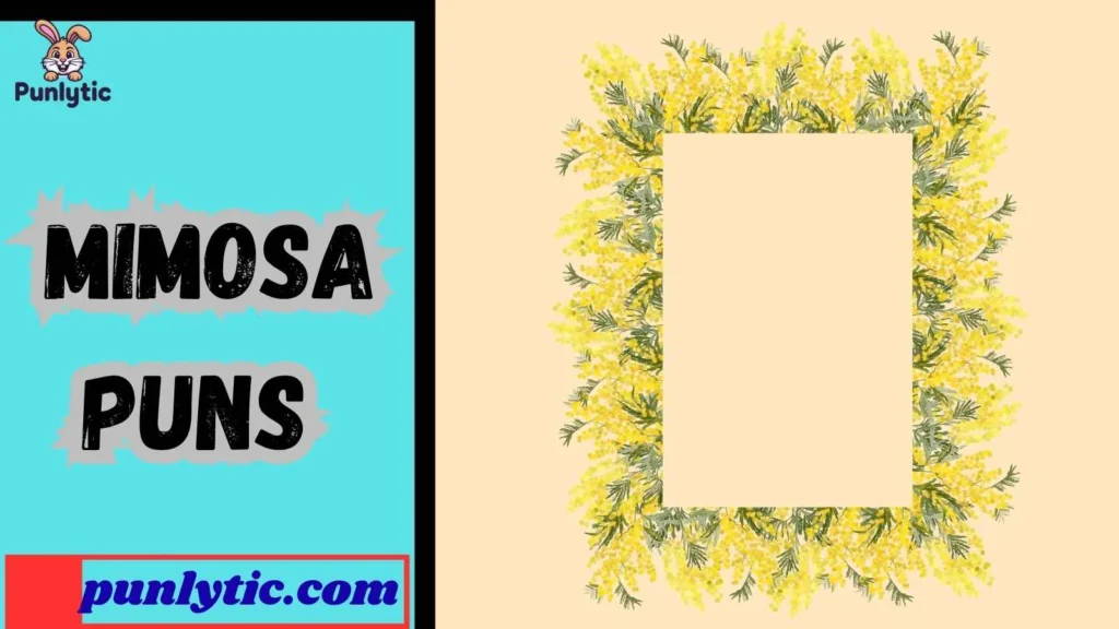 One-Liner Mimosa Jokes