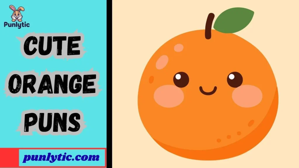 Short Cute Orange Puns for Instagram
