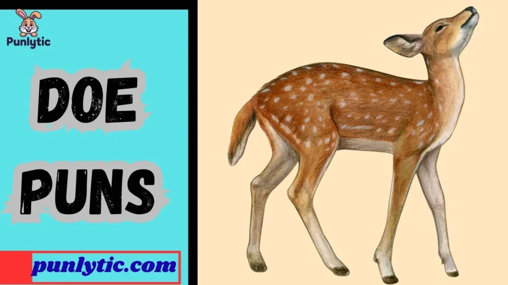 Short Doe Puns for Instagram