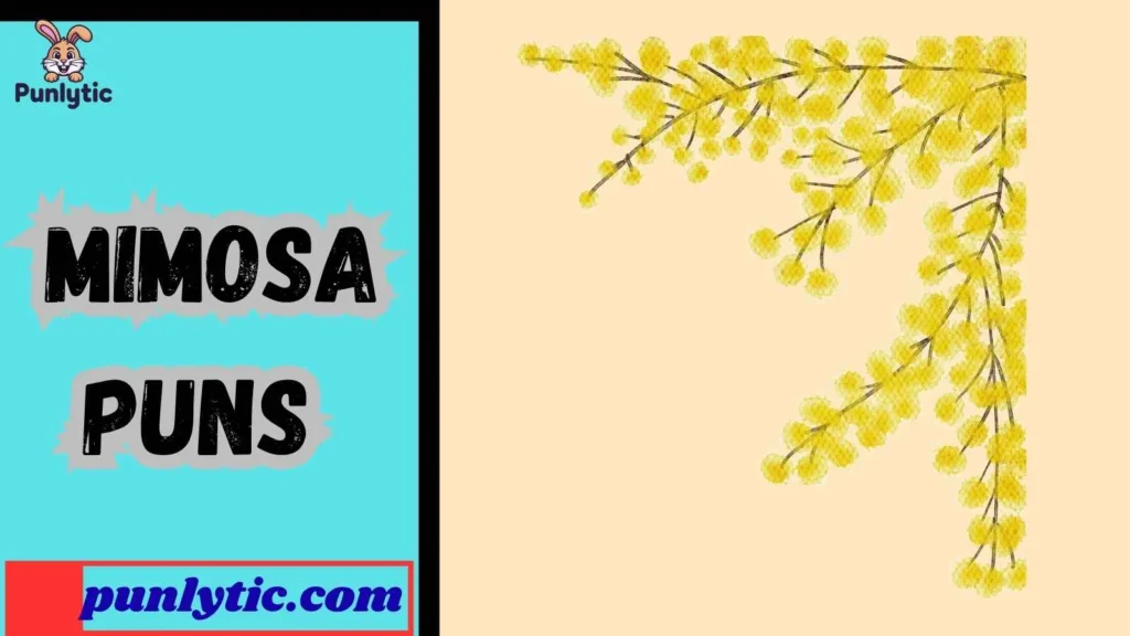 Short Mimosa Puns for Instagram