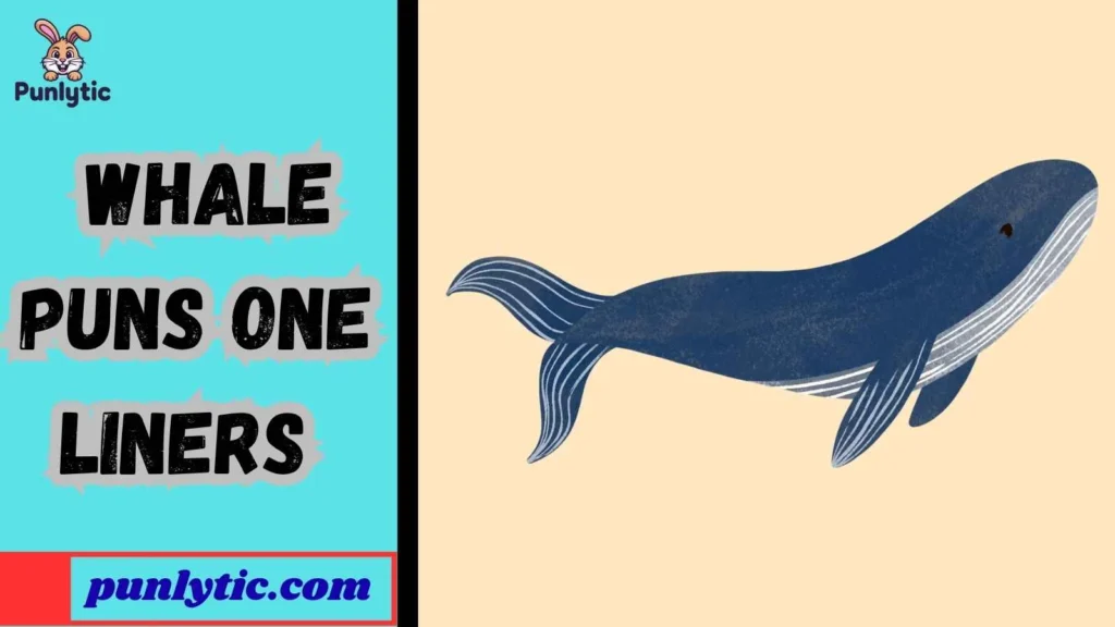 Short Whale Puns for Instagram