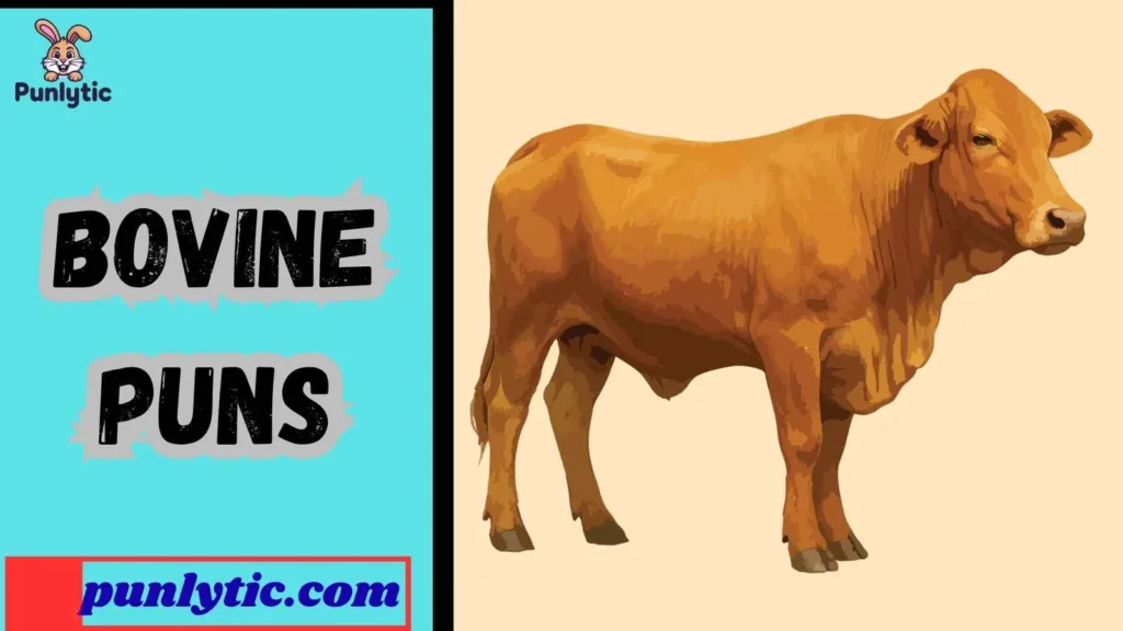 Silly Bovine Puns