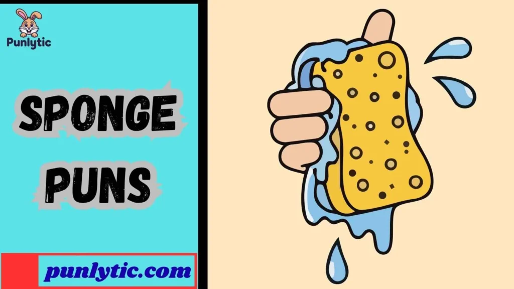 Clever Sponge Wordplay