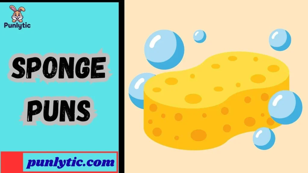 Funny Sponge Puns