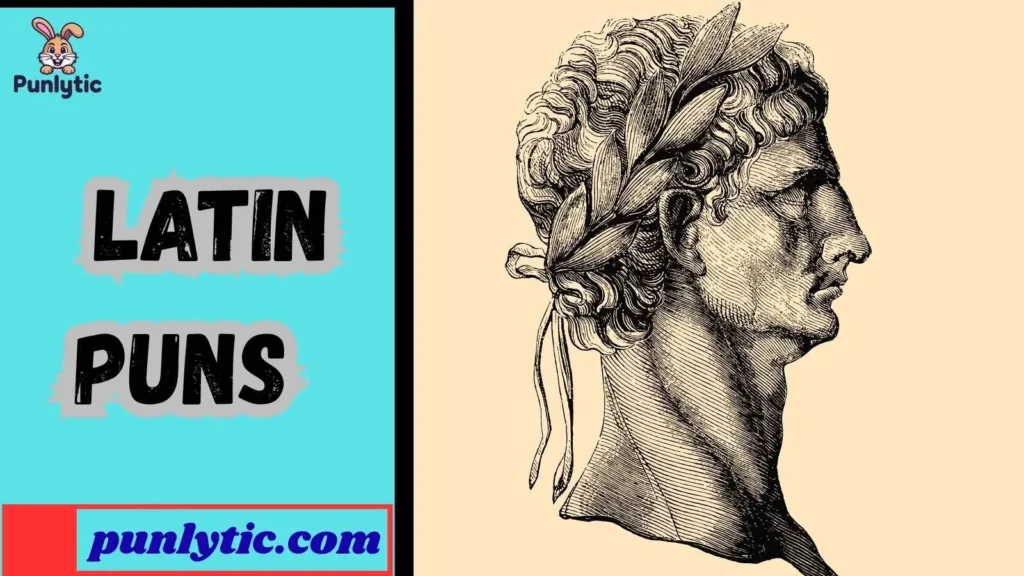 Short Latin Puns for Instagram