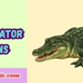 Alligator Puns