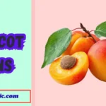 Apricot Puns