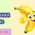 Bannana Puns