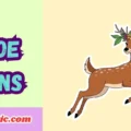 Doe Puns