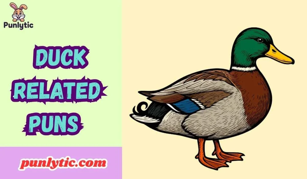 Duck Related Puns