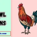 Fowl Puns