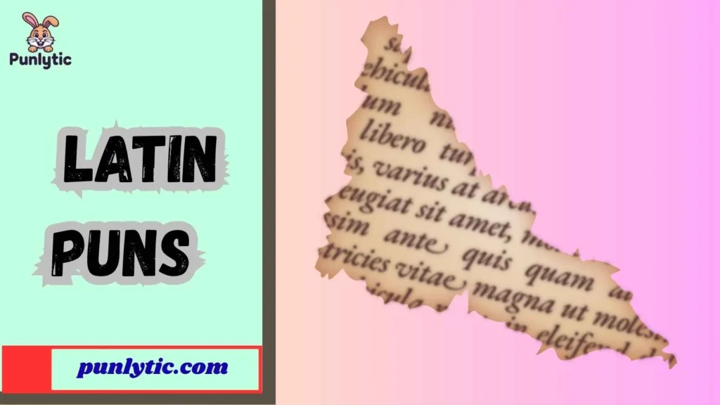 Latin Puns