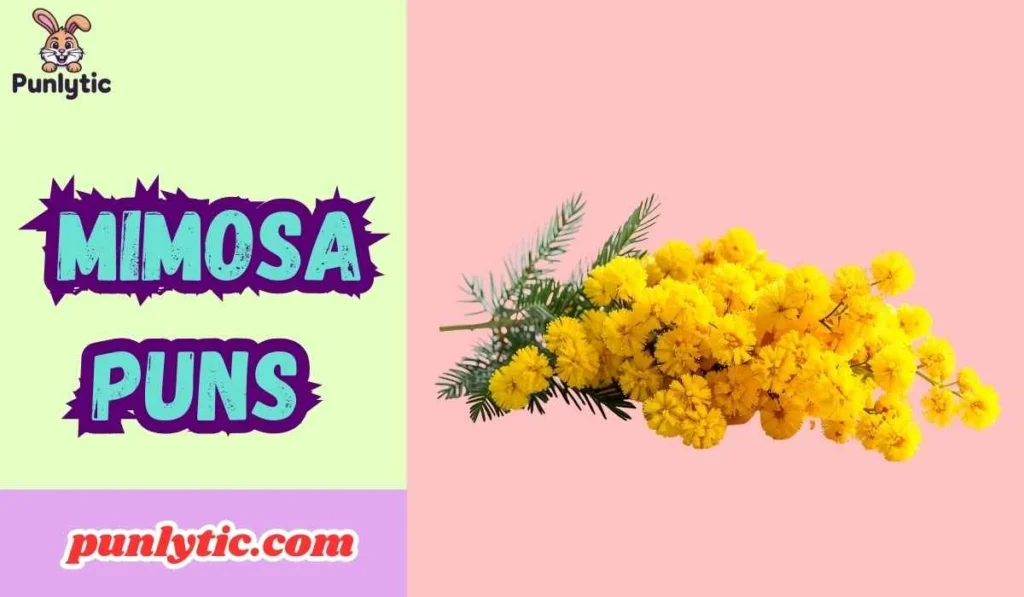 Mimosa Puns