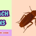 Roach Puns