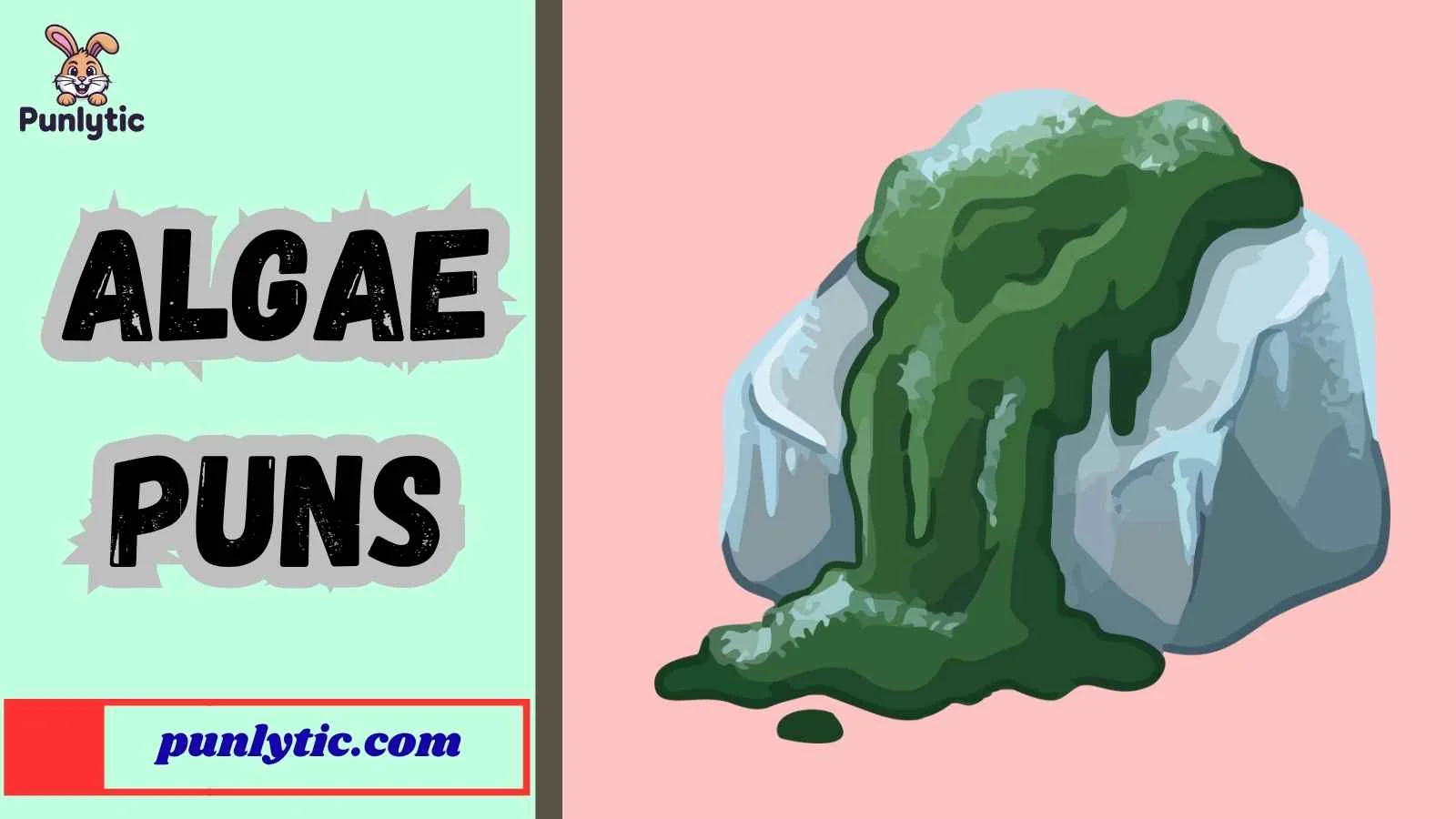 Algae Puns