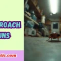 Cockroach Puns