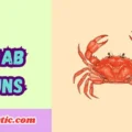 Crab Puns
