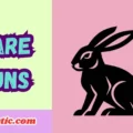 Hare Puns