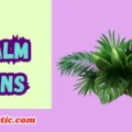 palm puns