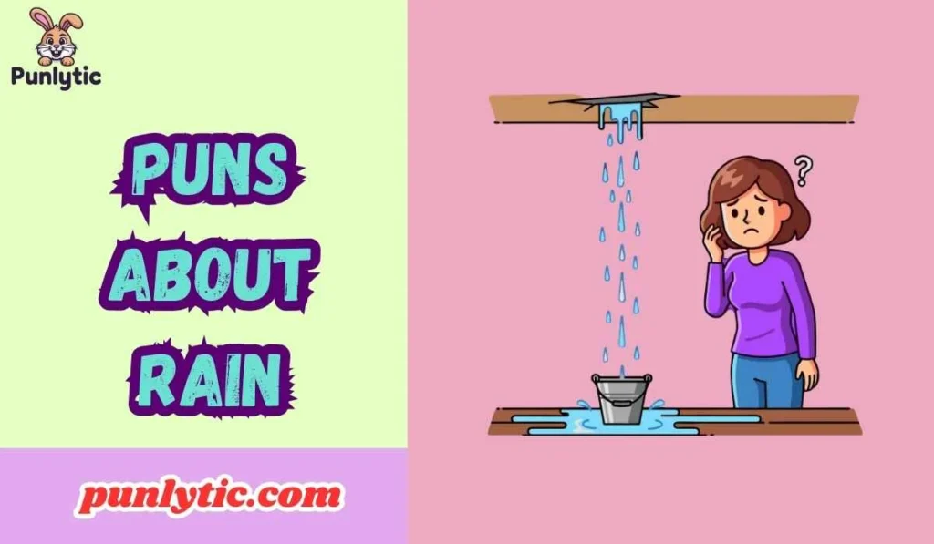 Puns About Rain
