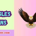 Eagles Puns