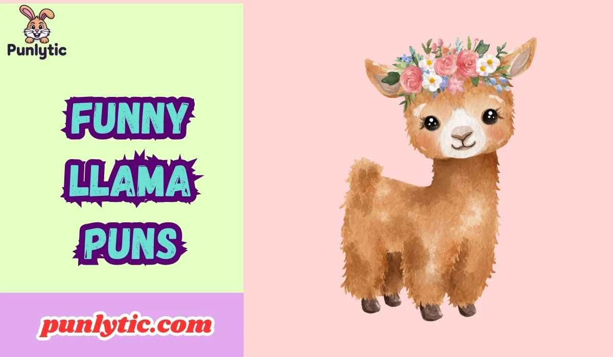 Funny Llama Puns