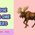 Moose Puns One Liners