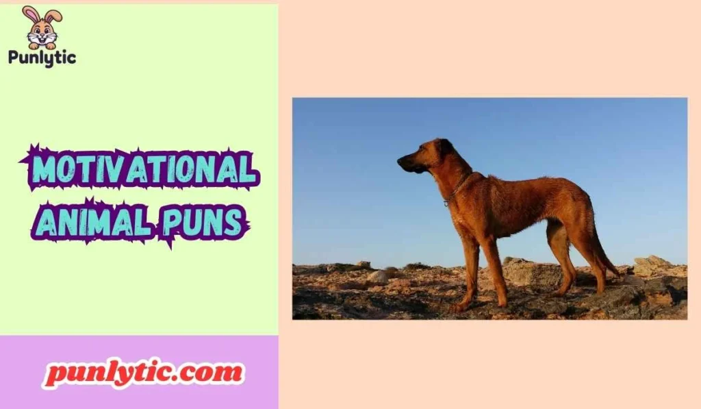 Motivational Animal Puns